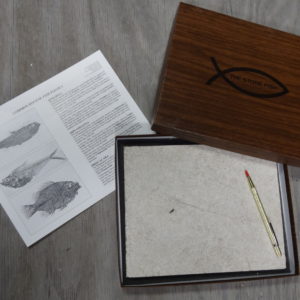 Grade A Fossil Preparation Kit – Free Shipping!